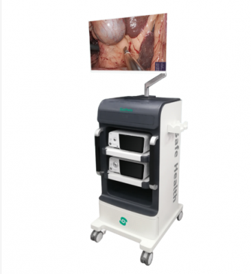 4k醫(yī)用內(nèi)窺鏡攝像系統(tǒng)sf-s168