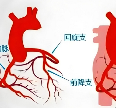 冠狀動脈介入手術控制系統(tǒng)